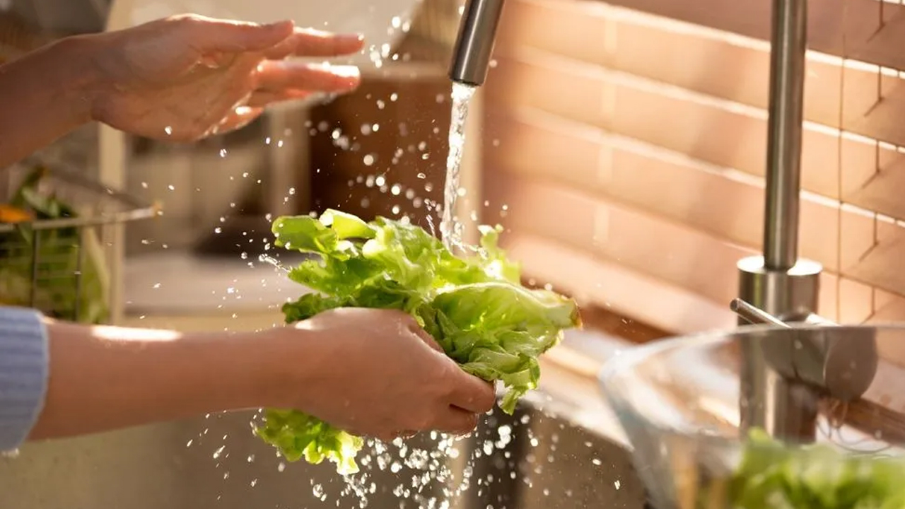 Foto - Tüketilmesi mümkün değil! İşte dondurup yada konserve yapamayacağımız tek sebze