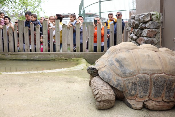 Tuki 103 yaşına girdi! En yaşlı sakini...