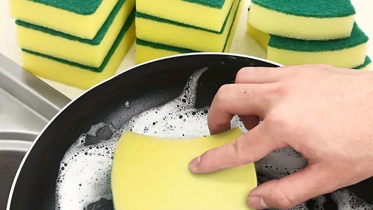 Tüm bakteriler anında yok oluyor! Bulaşık süngerlerini tertemiz yapan o yöntem