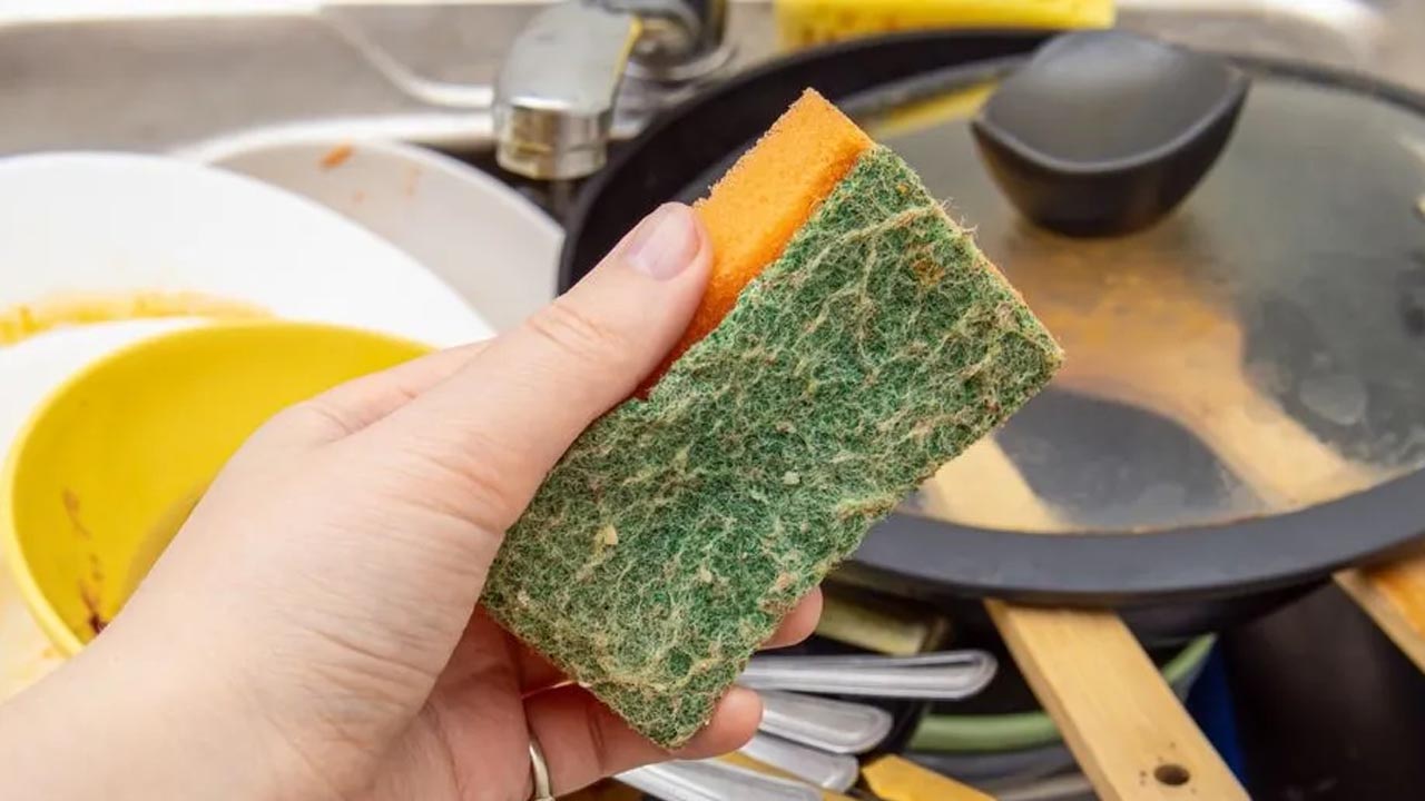 Foto - Tüm bakteriler anında yok oluyor! Bulaşık süngerlerini tertemiz yapan o yöntem