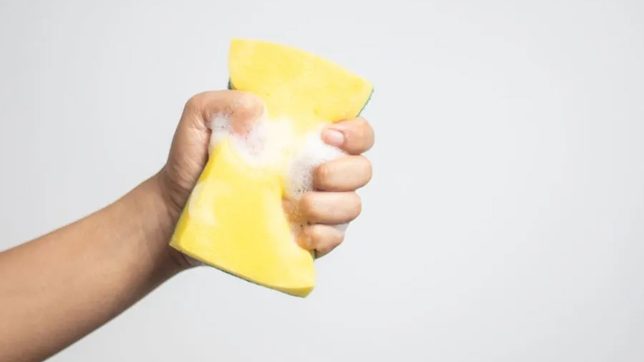 Foto - Tüm bardaklar pırıl pırıl olacak! Bulaşık süngerine bu işlemi yapınca bakın ne oluyor