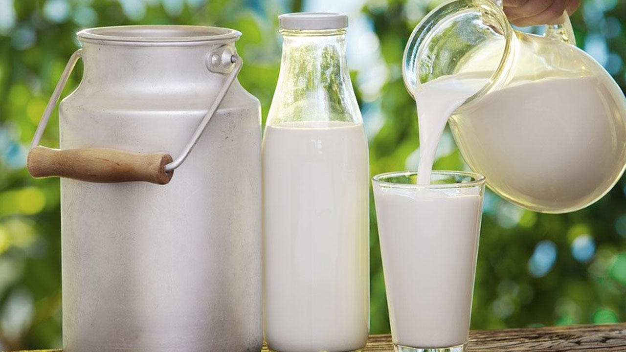 Foto - Tüm bildiklerinizi unutun! Tam yağlı mı yağsız süt mü daha sağlıklı?