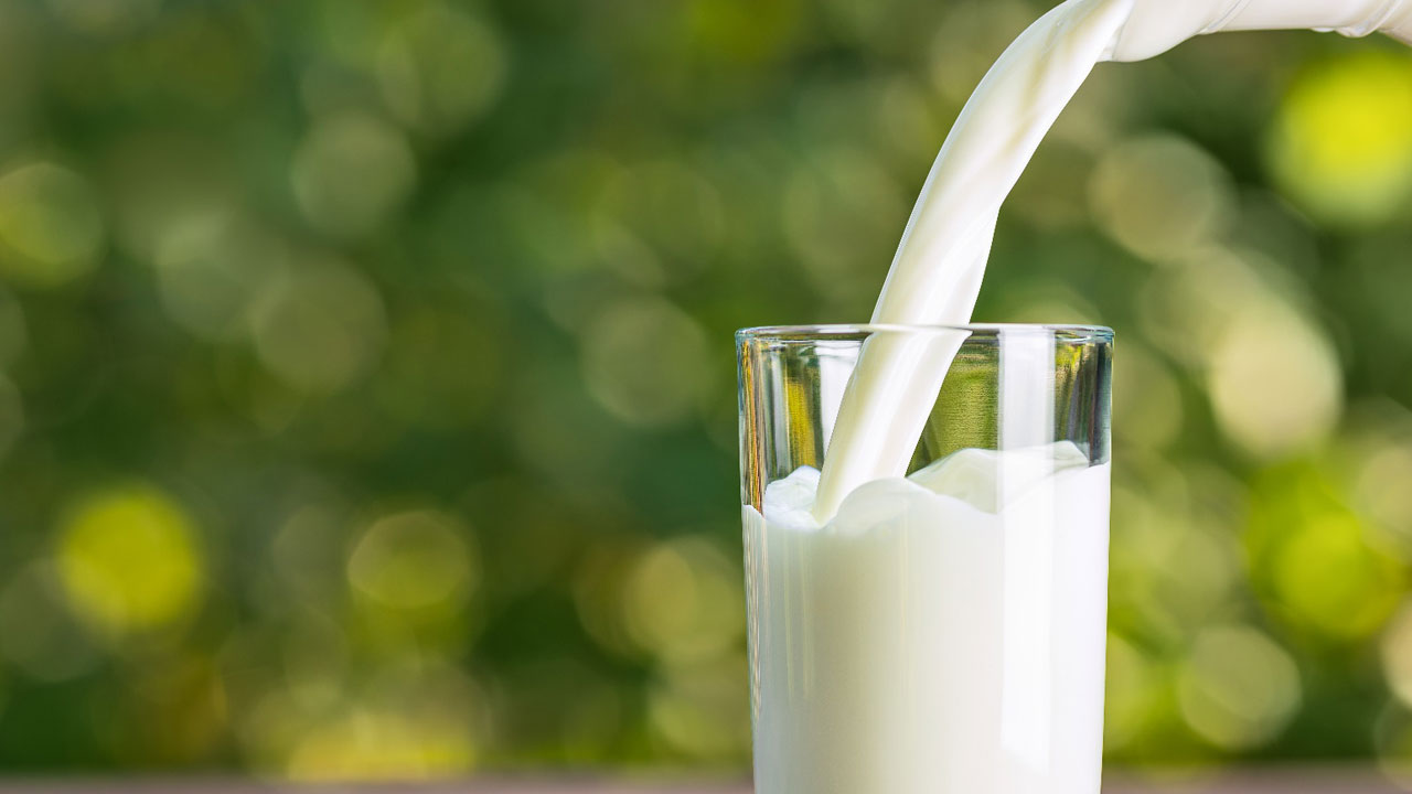 Foto - Tüm bildiklerinizi unutun! Tam yağlı mı yağsız süt mü daha sağlıklı?