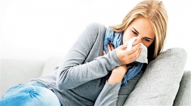 Foto - Siyah sarımsak görmüş müydünüz?