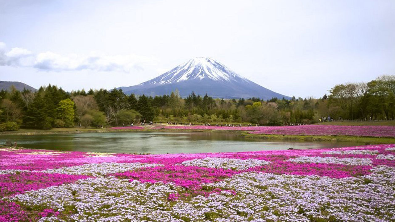 Foto - Tüm dünya bu olayı konuşuyor! 102 yaşında Guinness Rekoru kırdı