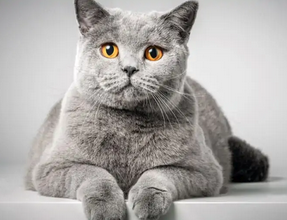 Tüm dünya bunu konuşuyor! O karar büyük şaşkınlık oluşturdu: Milyonları ayağa kaldıracak gelişmeyi duyurdu…