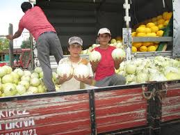 Foto - Tüm dünya onun peşinde! Gözler Bandırma'ya çevrildi
