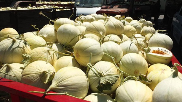 Tüm dünya onun peşinde! Gözler Bandırma'ya çevrildi