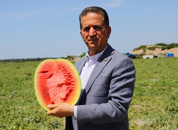 Foto - Tüm dünya sofralarını süslüyor! Türkiye, Çin'den sonra ikinci oldu