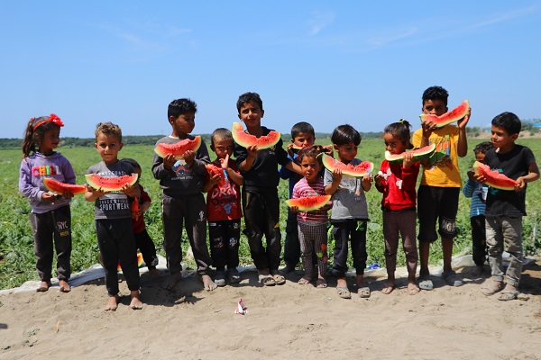 Foto - Tüm dünya sofralarını süslüyor! Türkiye, Çin'den sonra ikinci oldu
