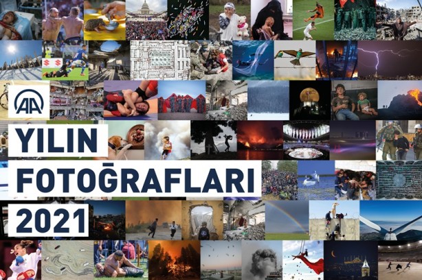 Tüm dünyada oylamaya açıldı! İşte 'yılın fotoğrafları'...