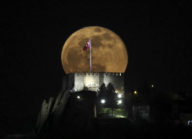 Foto - Tüm dünyada oylamaya açıldı! İşte 'yılın fotoğrafları'...