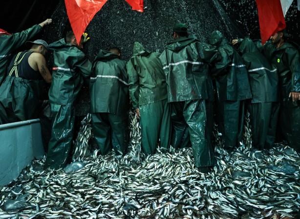 Foto - Tüm dünyada oylamaya açıldı! İşte 'yılın fotoğrafları'...