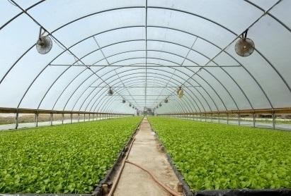 Foto - Tüm dünyaya Konya'ya kilitlendi! Gelecek müjdeli haber dünya tarımında her şeyi sil baştan değiştirebilir