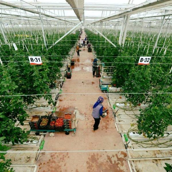 Foto - Tüm dünyaya Konya'ya kilitlendi! Gelecek müjdeli haber dünya tarımında her şeyi sil baştan değiştirebilir