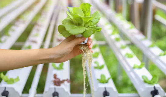 Foto - Tüm dünyaya Konya'ya kilitlendi! Gelecek müjdeli haber dünya tarımında her şeyi sil baştan değiştirebilir