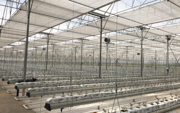 Foto - Tüm dünyaya Konya'ya kilitlendi! Gelecek müjdeli haber dünya tarımında her şeyi sil baştan değiştirebilir