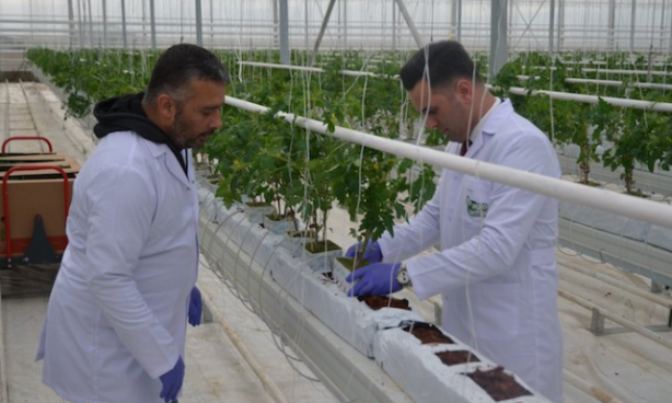 Foto - Tüm dünyaya Konya'ya kilitlendi! Gelecek müjdeli haber dünya tarımında her şeyi sil baştan değiştirebilir