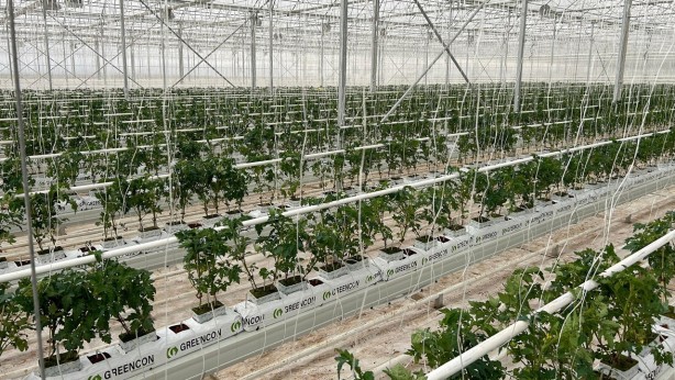 Foto - Tüm dünyaya Konya'ya kilitlendi! Gelecek müjdeli haber dünya tarımında her şeyi sil baştan değiştirebilir