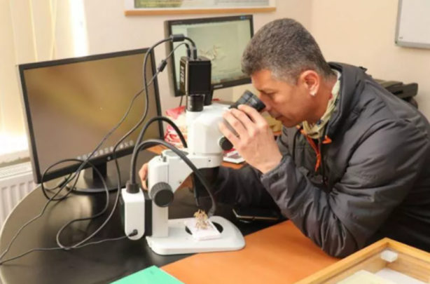 Foto - Tüm dünya tanıyor! Sadece Türkiye'de var