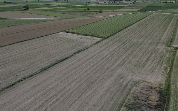 Foto - Tüm dünyayı bekleyen tehlike! 161 yıllık sulama kanalı devre dışı kaldı