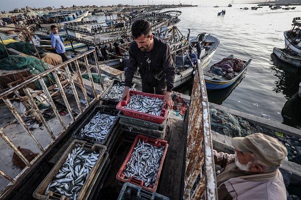 Foto - Tüm engellere rağmen Filistinli balıkçıların av mesaisi