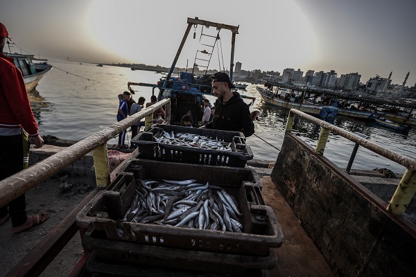 Foto - Tüm engellere rağmen Filistinli balıkçıların av mesaisi