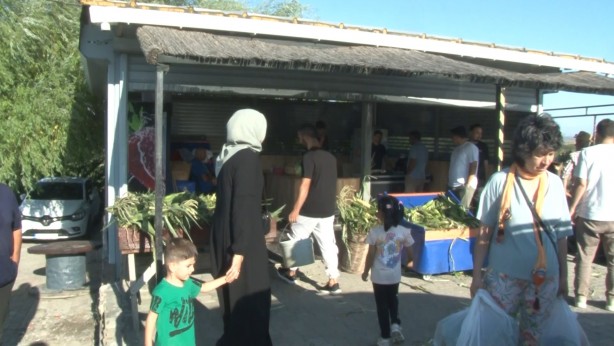 Foto - Tüm İstanbullunun gözü bu tarlada! Duyan işi gücü bırakıp koşa koşa gidiyor
