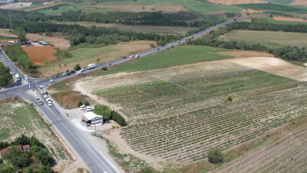Foto - Tüm İstanbullunun gözü bu tarlada! Duyan işi gücü bırakıp koşa koşa gidiyor