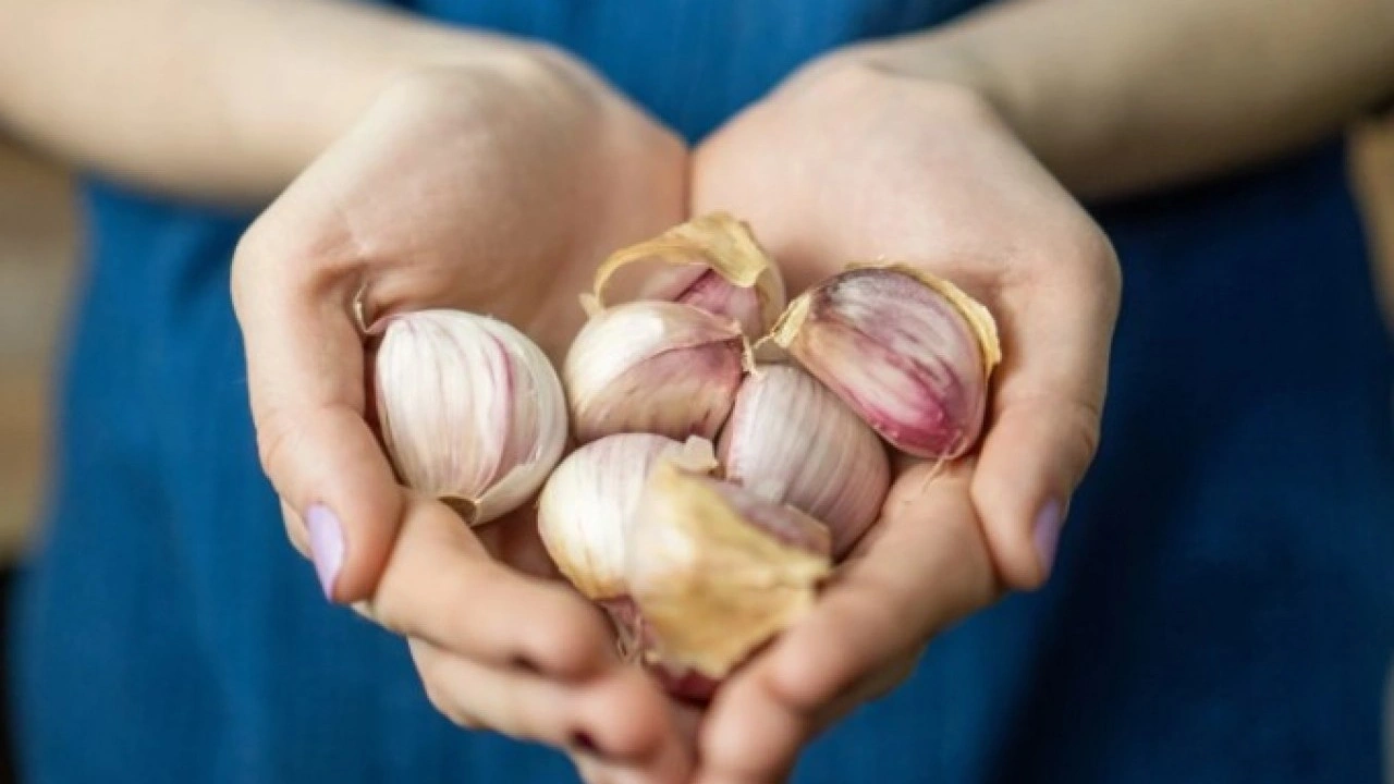 Foto - Tüm kış taze kalacak! Patateslerin filizlenmesini önleyen püf nokta
