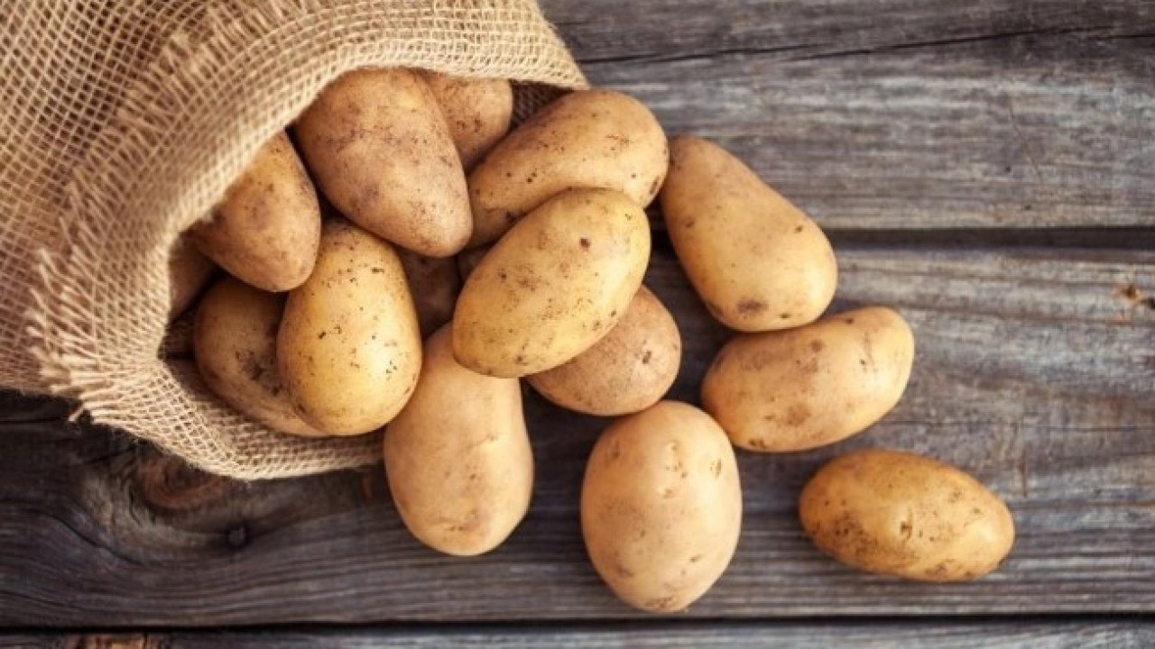 Foto - Tüm kış taze kalacak! Patateslerin filizlenmesini önleyen yöntem açıklandı