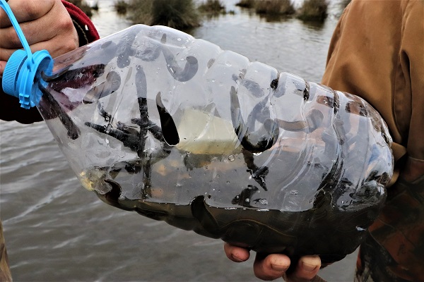 Foto - Tüm mahalle bu işi yapıyor! Ayda 10 bin lira kazanıyorlar