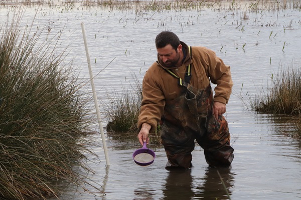 Foto - Tüm mahalle bu işi yapıyor! Ayda 10 bin lira kazanıyorlar