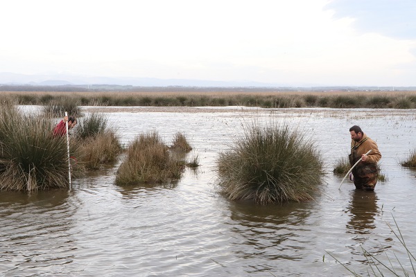 Foto - Tüm mahalle bu işi yapıyor! Ayda 10 bin lira kazanıyorlar