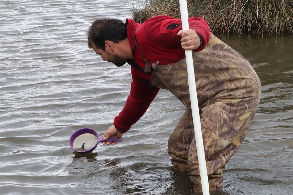 Foto - Tüm mahalle bu işi yapıyor! Ayda 10 bin lira kazanıyorlar