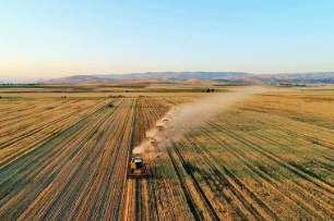Foto - Tüm marketlerde satılıyor! En çok hile yapılan 6 gıda belli oldu, vatandaş ne yapacağını şaşıracak