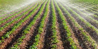 Foto - Tüm marketlerde satılıyor! En çok hile yapılan 6 gıda belli oldu, vatandaş ne yapacağını şaşıracak