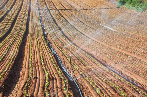 Foto - Tüm marketlerde satılıyor! En çok hile yapılan 6 gıda belli oldu, vatandaş ne yapacağını şaşıracak