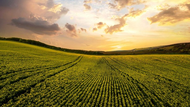 Foto - Tüm Türkiye dehşete düşecek! Ramazan Kurtoğlu, NATO'nun sır gibi sakladığı raporu açıkladı