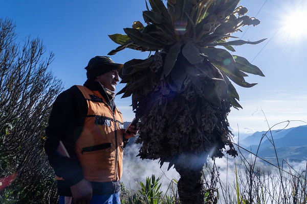 Foto - Tüm uyarılara rağmen! Volkan patlayacak ama o yerinden kımıldamıyor 