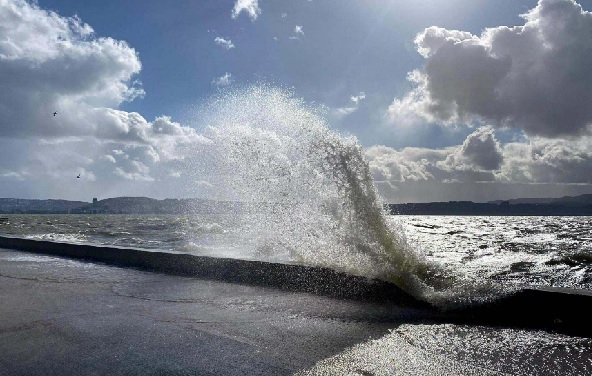Tüm yaz korkulu rüyamız olmuştu! Uzmanından nefes aldıran açıklama