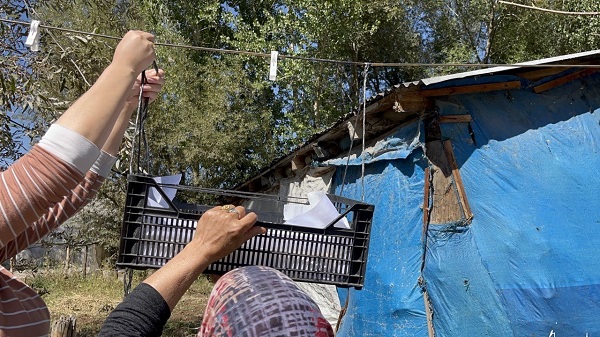 Foto - Tüm yorgunluğun sebebi: Keledoş