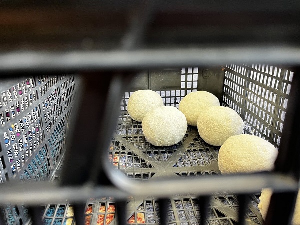 Foto - Tüm yorgunluğun sebebi: Keledoş