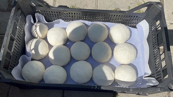 Foto - Tüm yorgunluğun sebebi: Keledoş