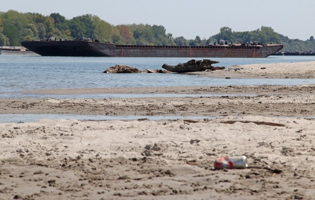 Foto - Tuna Nehri'nde korkutan görüntü