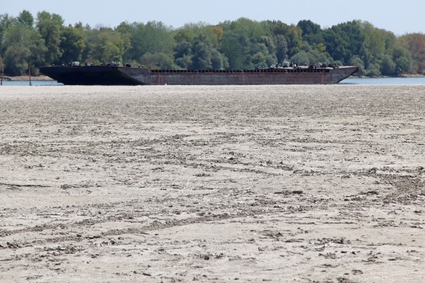 Foto - Tuna Nehri'nde korkutan görüntü