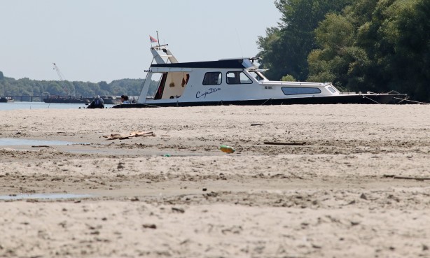 Tuna Nehri'nde korkutan görüntü