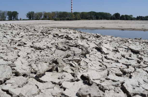 Foto - Tuna Nehri'nde korkutan görüntü