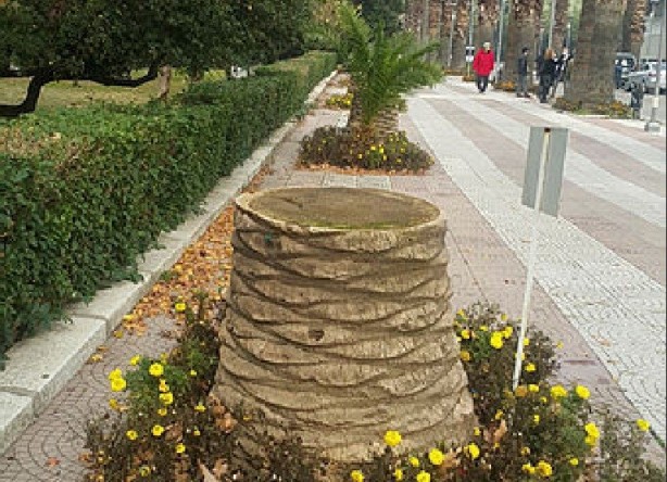 Foto - Tunç Soyer'in palmiye fiyaskosu! 2 bin ağaç heba oldu akılları anca başlarına geldi