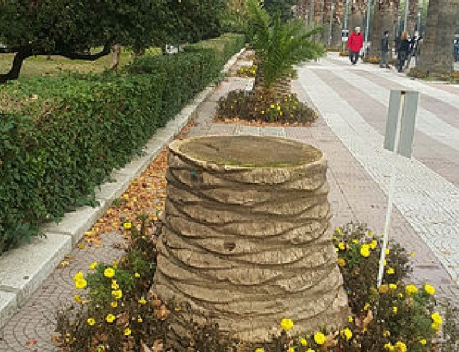 Foto - Tunç Soyer'in palmiye fiyaskosu… Keserek korudular!